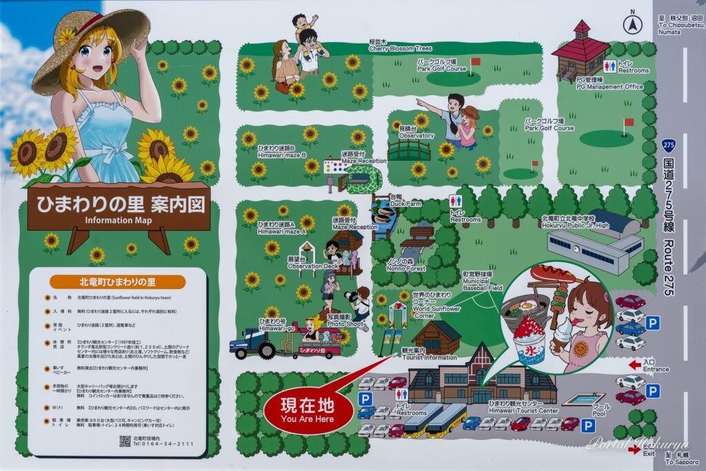 北竜ひまわり祭り