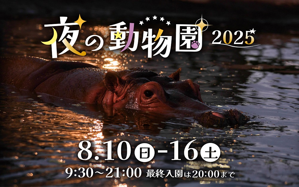 夜の動物園