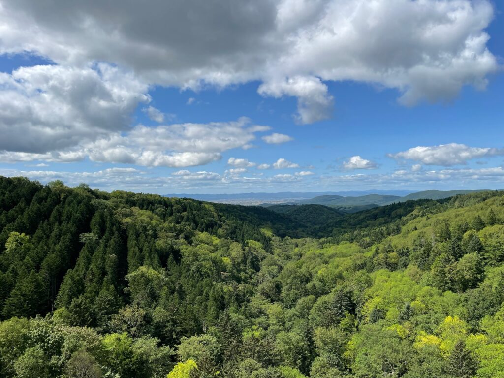チョボチナイゲート
